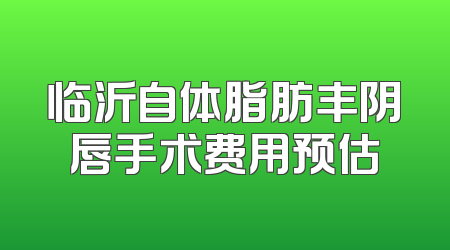 临沂自体脂肪丰阴唇手术费用预估