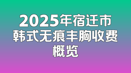 2025年宿迁市韩式无痕丰胸收费概览