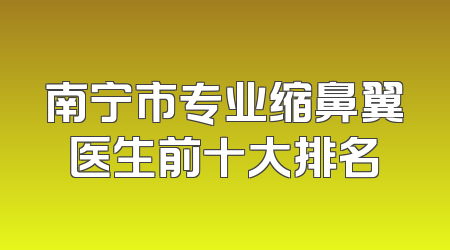 南宁市专业缩鼻翼医生前十大排名