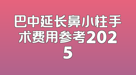 巴中延长鼻小柱手术费用参考2025