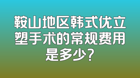 鞍山地区韩式优立塑手术的常规费用是多少？