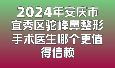 2024年安庆市宜秀区驼峰鼻整形手术医生哪个更值得信赖