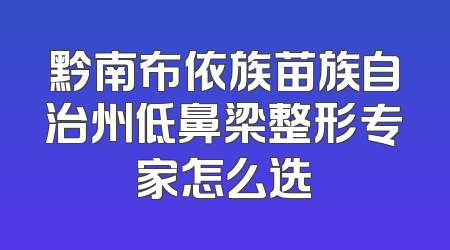 黔南布依族苗族自治州低鼻梁整形专家怎么选