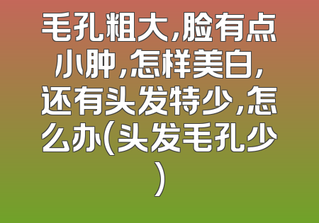 毛孔粗大，脸有点小肿，怎样美白，还有头发特少，怎么办(头发毛孔少)