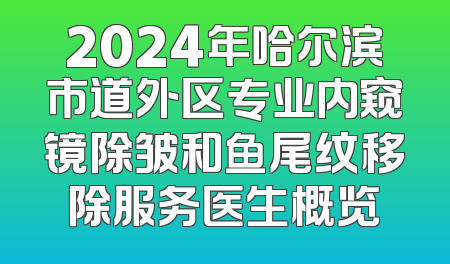 2024年哈尔滨市道外区专业内窥镜除皱和鱼尾纹移除服务医生概览