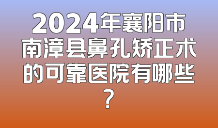 2024年襄阳市南漳县鼻孔矫正术的可靠医院有哪些？