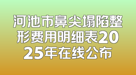 河池市鼻尖塌陷整形费用明细表2025年在线公布