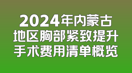 2024年内蒙古地区胸部紧致提升手术费用清单概览