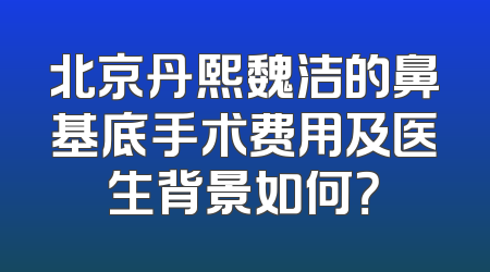 北京丹熙魏洁的鼻基底手术费用及医生背景如何？