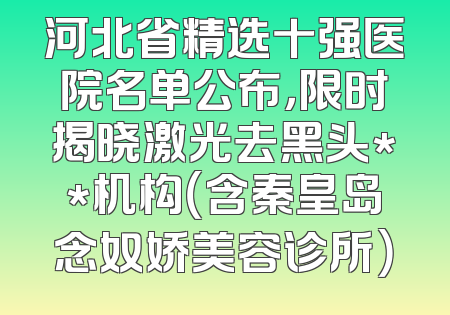 河北省精选十强医院名单公布，限时揭晓激光去黑头**机构（含秦皇岛念奴娇美容诊所）
