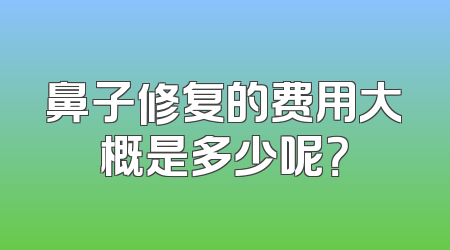 鼻子修复的费用大概是多少呢？