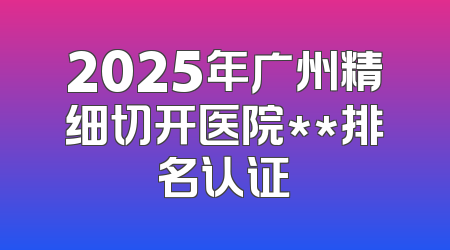 2025年广州精细切开医院**排名认证