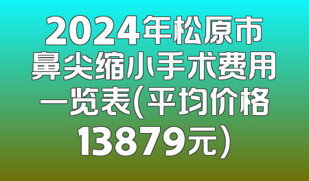 2024年松原市鼻尖缩小手术费用一览表（平均价格13879元）