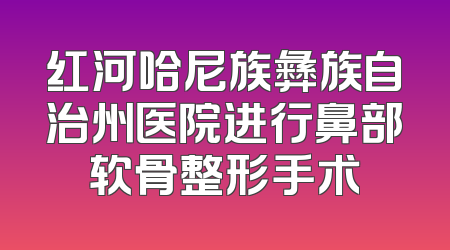 红河哈尼族彝族自治州医院进行鼻部软骨整形手术