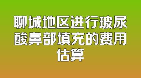 聊城地区进行玻尿酸鼻部填充的费用估算