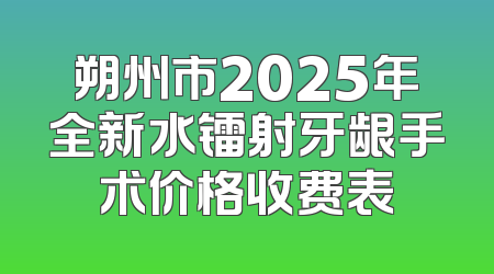 朔州市2025年全新水镭射牙龈手术价格收费表