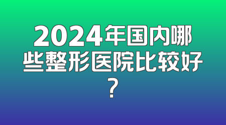 2024年国内哪些整形医院比较好？