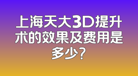 上海天大3D提升术的效果及费用是多少？