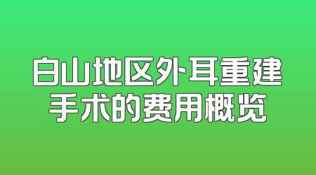 白山地区外耳重建手术的费用概览