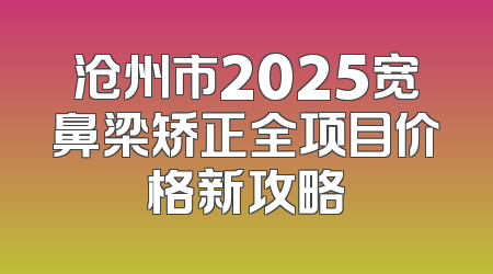 沧州市2025宽鼻梁矫正全项目价格新攻略