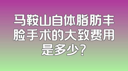 马鞍山自体脂肪丰脸手术的大致费用是多少？