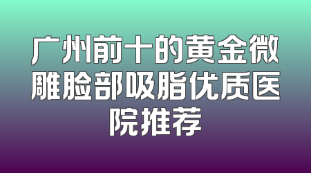 广州前十的黄金微雕脸部吸脂优质医院推荐