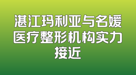 湛江玛利亚与名媛医疗整形机构实力接近
