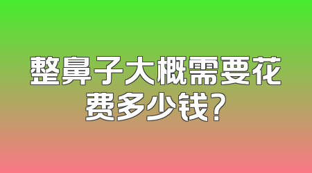 整鼻子大概需要花费多少钱？