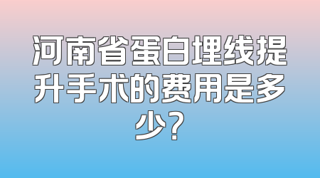 河南省蛋白埋线提升手术的费用是多少？