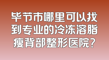 毕节市哪里可以找到专业的冷冻溶脂瘦背部整形医院？