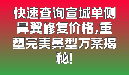快速查询宣城单侧鼻翼修复价格，重塑完美鼻型方案揭秘！