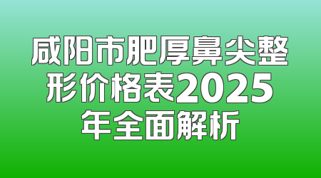 咸阳市肥厚鼻尖整形价格表2025年全面解析