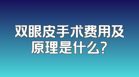 双眼皮手术费用及原理是什么？