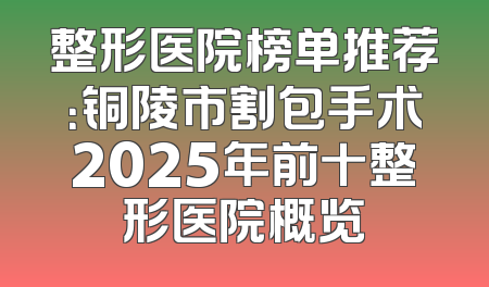整形医院榜单推荐：铜陵市割包手术2025年前十整形医院概览