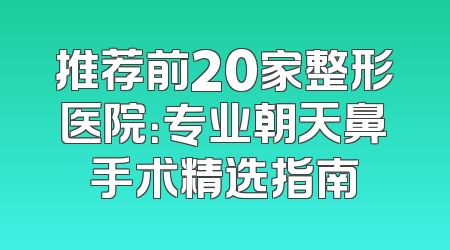 推荐前20家整形医院：专业朝天鼻手术精选指南