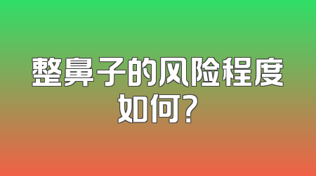 整鼻子的风险程度如何？