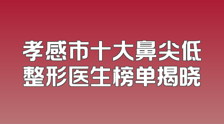孝感市十大鼻尖低整形医生榜单揭晓