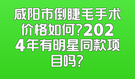 咸阳市倒睫毛手术价格如何？2024年有明星同款项目吗？