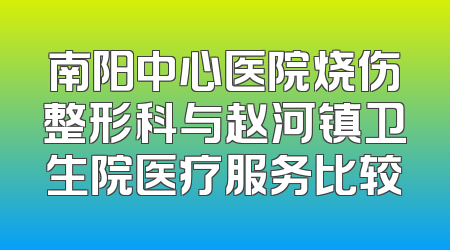 南阳中心医院烧伤整形科与赵河镇卫生院医疗服务比较