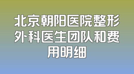 北京朝阳医院整形外科医生团队和费用明细