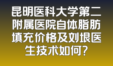 昆明医科大学第二附属医院自体脂肪填充价格及刘垠医生技术如何？