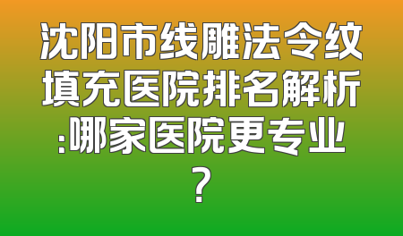 沈阳市线雕法令纹填充医院排名解析：哪家医院更专业？