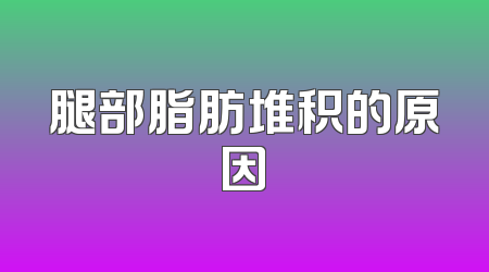腿部脂肪堆积的原因