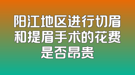 阳江地区进行切眉和提眉手术的花费是否昂贵