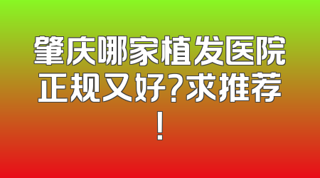 肇庆哪家植发医院正规又好？求推荐！