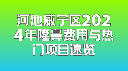 河池威宁区2024年隆鼻费用与热门项目速览