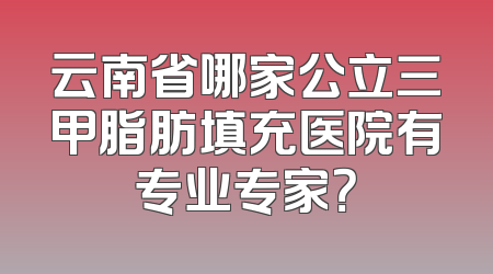 云南省哪家公立三甲脂肪填充医院有专业专家？