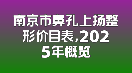 南京市鼻孔上扬整形价目表，2025年概览