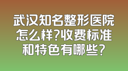 武汉知名整形医院怎么样？收费标准和特色有哪些？