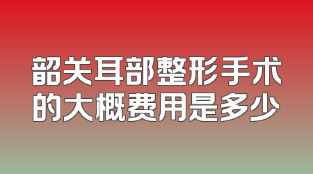韶关耳部整形手术的大概费用是多少
